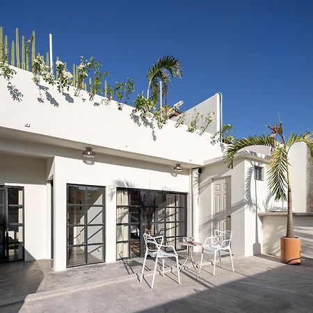 Casa Lumos - Minimalist Comfort Suites In Centro Historico Oaxaca Exteriör bild