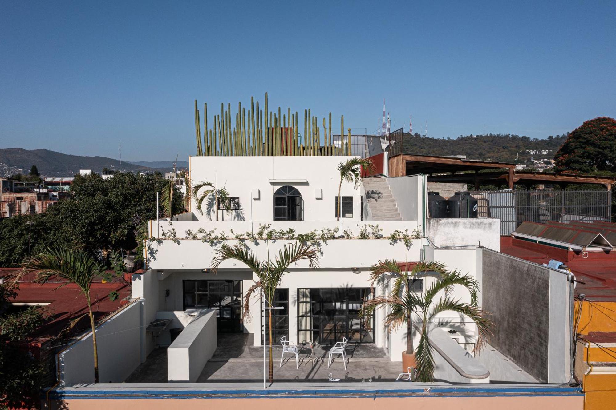 Casa Lumos - Minimalist Comfort Suites In Centro Historico Oaxaca Exteriör bild