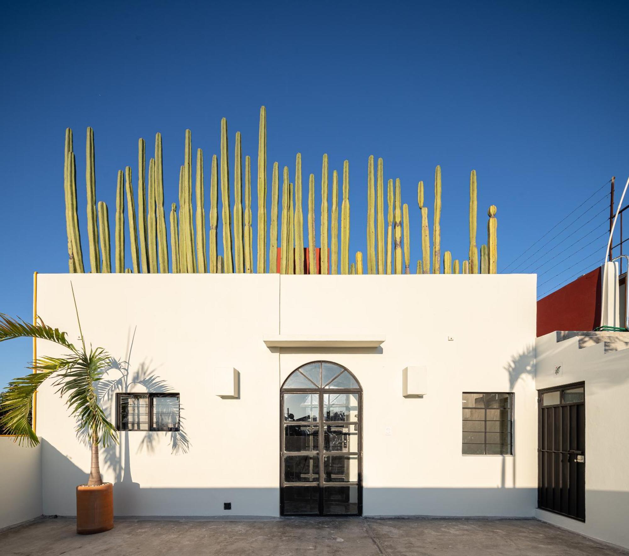 Casa Lumos - Minimalist Comfort Suites In Centro Historico Oaxaca Exteriör bild