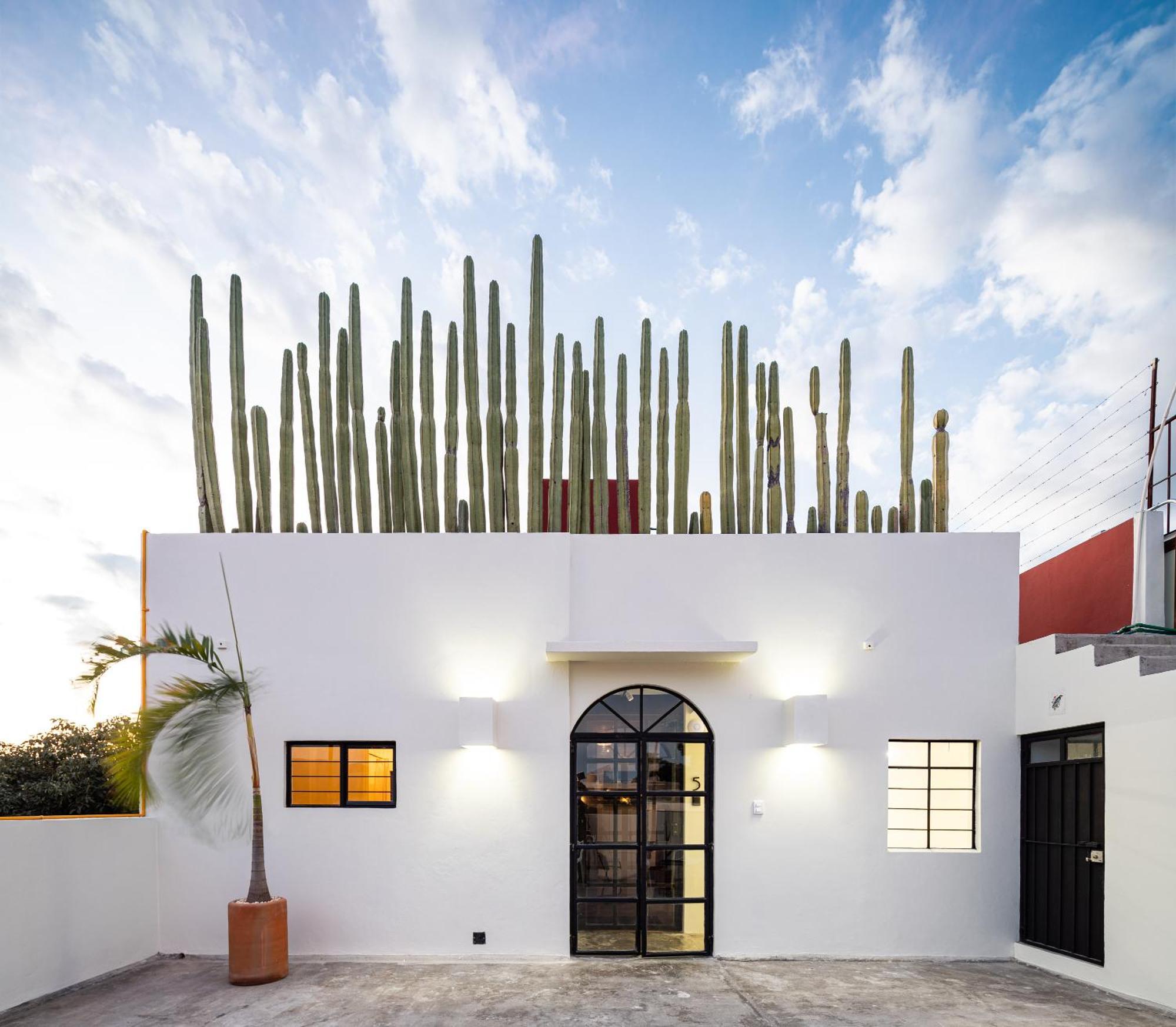 Casa Lumos - Minimalist Comfort Suites In Centro Historico Oaxaca Exteriör bild
