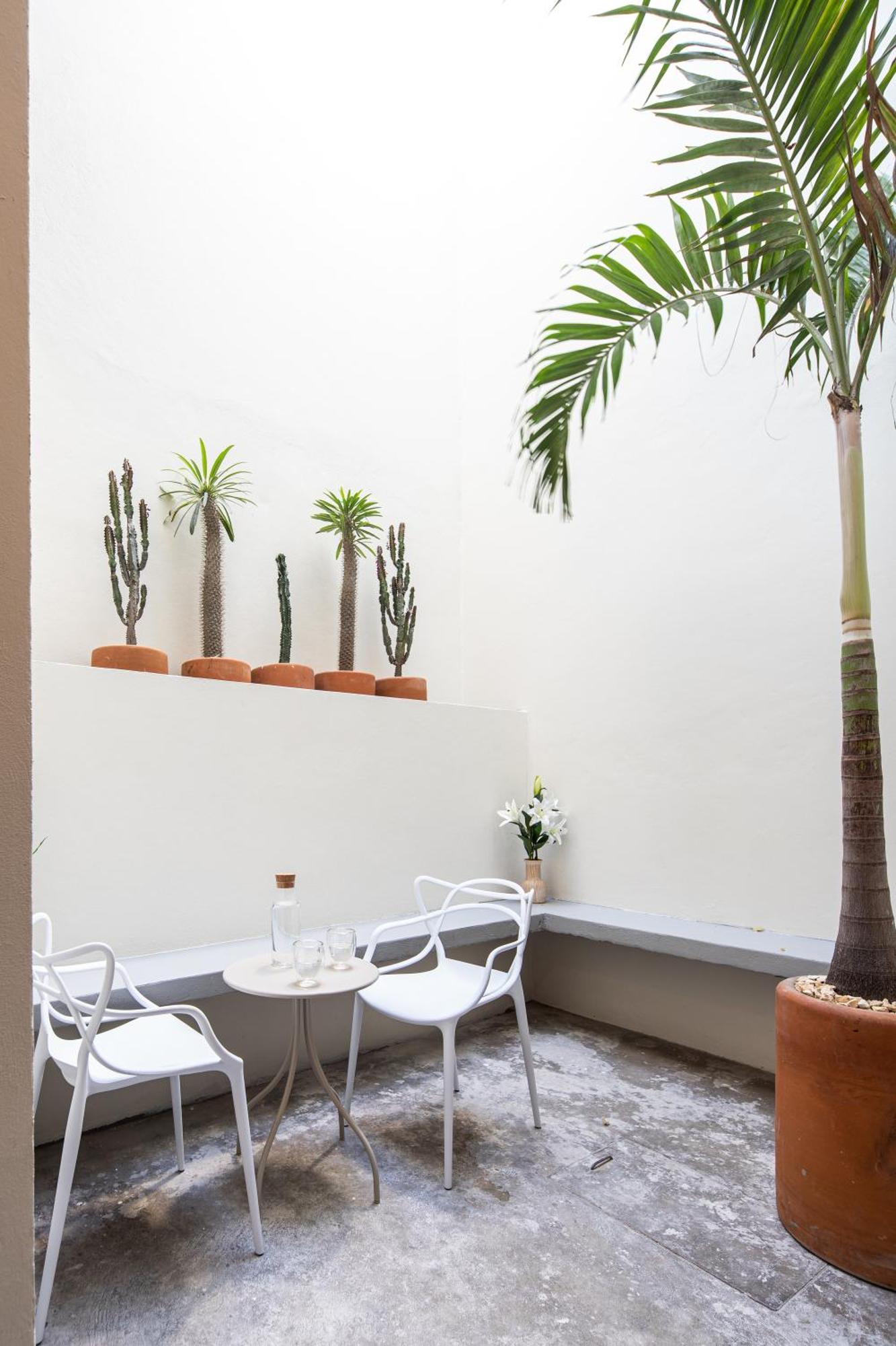 Casa Lumos - Minimalist Comfort Suites In Centro Historico Oaxaca Exteriör bild